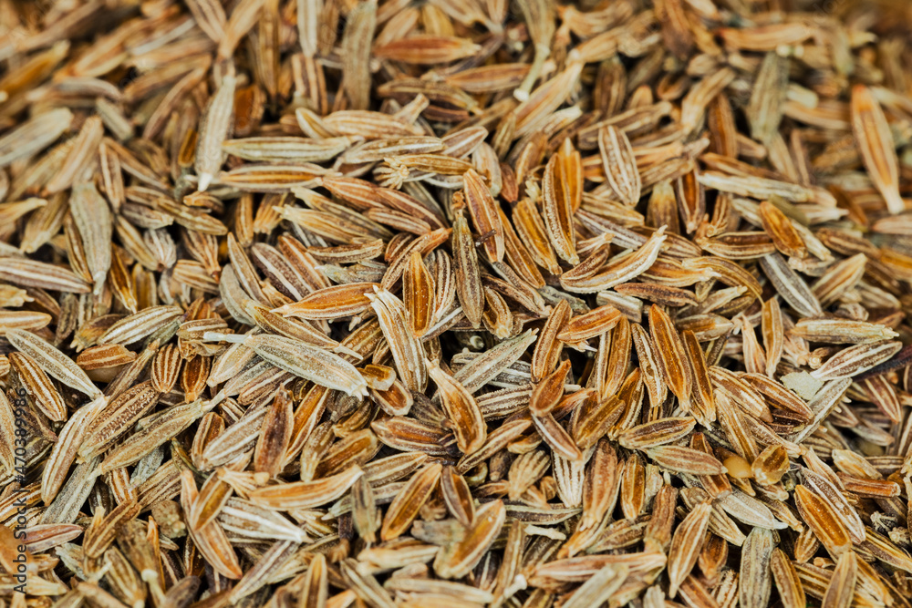 Macro image of Cumin Seed.