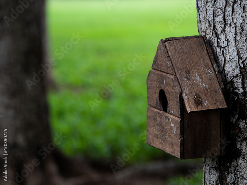 Close up dirty wooden house box over the tree in the park with nature blur background
