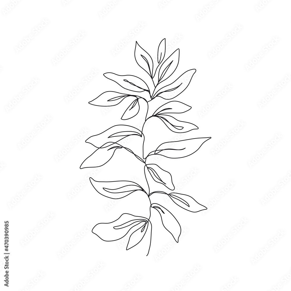 Leaves Branch Line Art Drawing. Leaves Line Drawing Illustration. Botanical Print Minimalist Style. Vector EPS 10