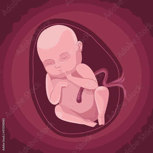 baby inside the womb