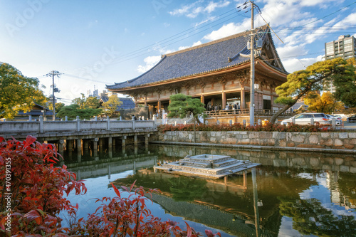 秋の大阪、四天王寺の六時礼讃堂と亀の池の風景