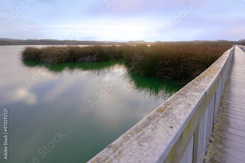 Lake at sunset, and long wooden boardwalk through the lake. Marsh plants, bushes, green forest, and cloudy sky