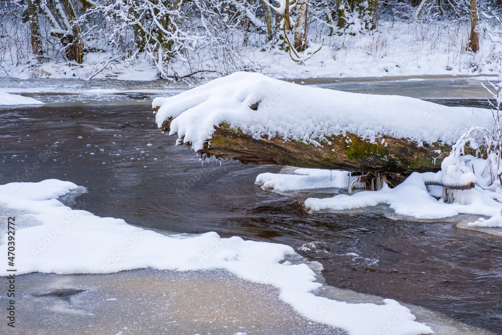 Wooden log in a river with ice and snow Wooden log in a river with ice and snow