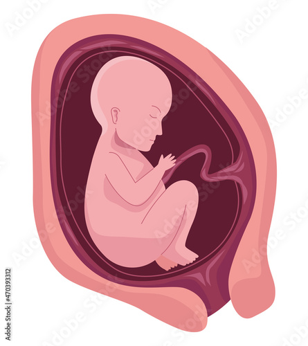 fetus with seven months