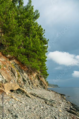Sea coast with stone beach, rocky shore with green fir trees, clear sea and dark blue sky with clouds. Seascape.