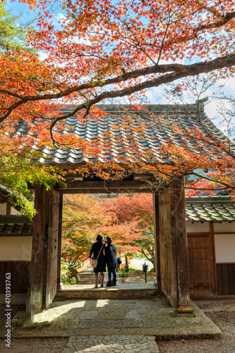 Colorful autumn leaves in Entsuji temple in Tamba, Hyogo, Japan