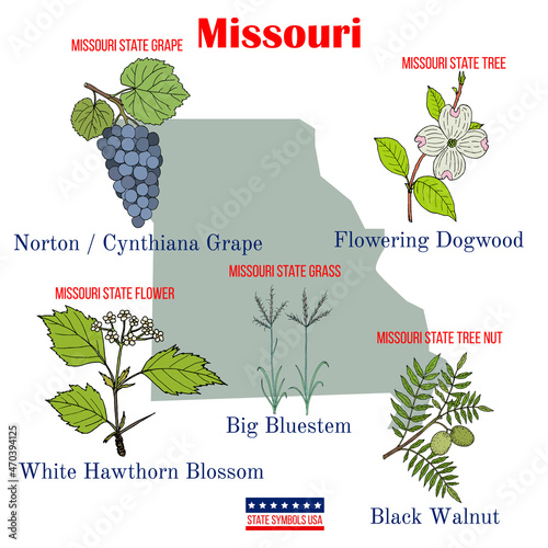 Missouri. Set of USA official state symbols photo