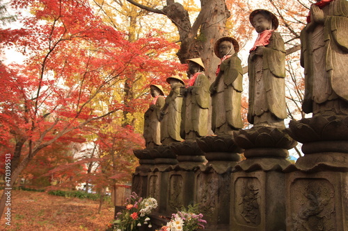 日本の寺。世田谷・九品仏の秋。紅葉に美しく染まる境内。六地蔵。浄真寺は９体の阿弥陀如来が安置されていることから九品仏と呼ばれている。サギソウの咲く寺としても知られる。境内にはたくさんの地蔵があり、秋には境内一面が紅葉に彩られる。 photo