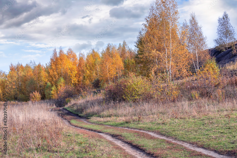Autumn trees with colorful foliage on slope of a hill and a ground winding road.