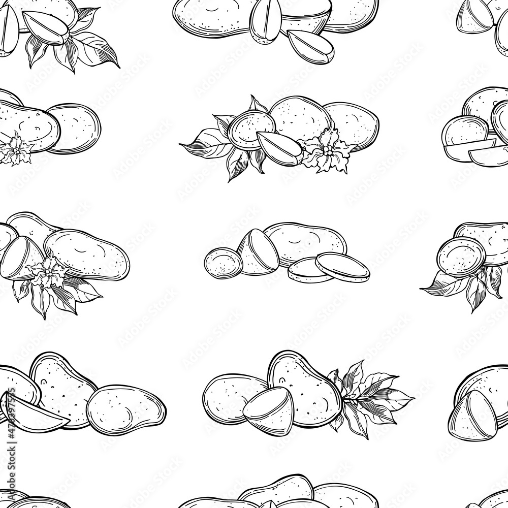 Fototapeta premium Vector pattern with potato tubers.
