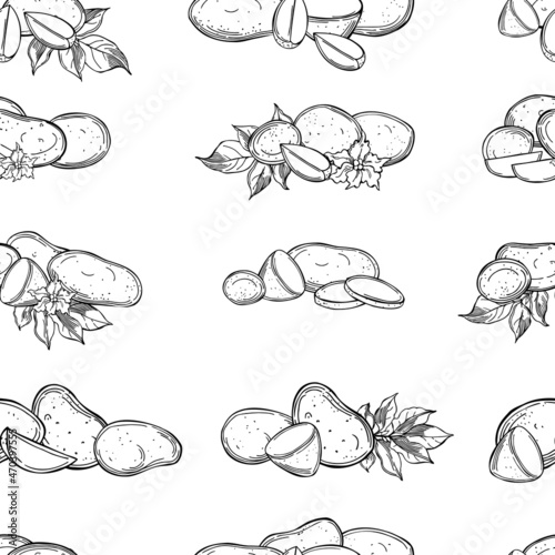 Vector pattern with potato tubers.