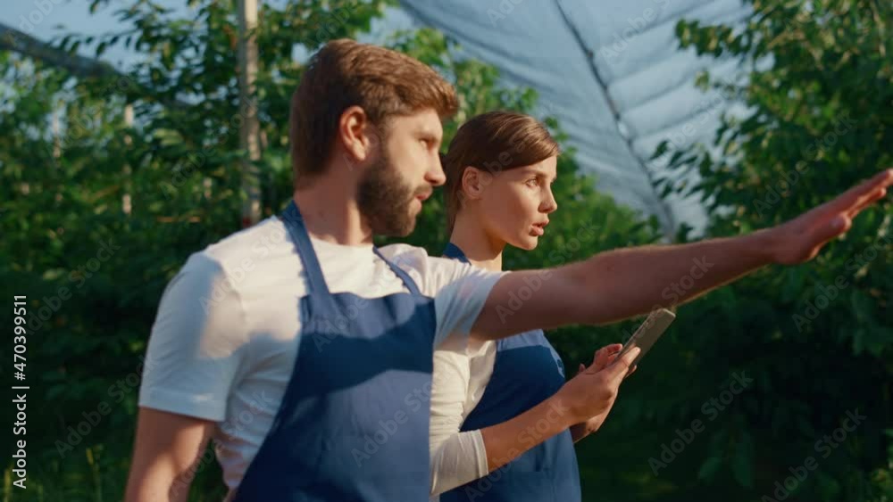 Entrepreneurs couple analyze plantation using tablet device in tree orchard. Entrepreneurs couple analyze plantation using tablet device in tree orchard.