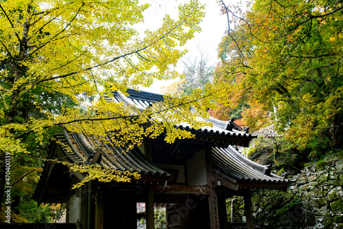 自然あふれる森林と紅葉と寺院