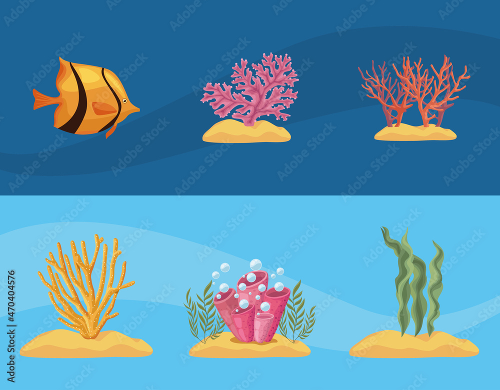 six sea life icons