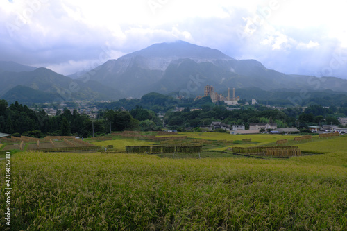 秩父武甲山と棚田の風景