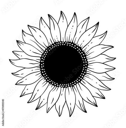 Hand drawn monochrome silhouette of sunflower silhouette