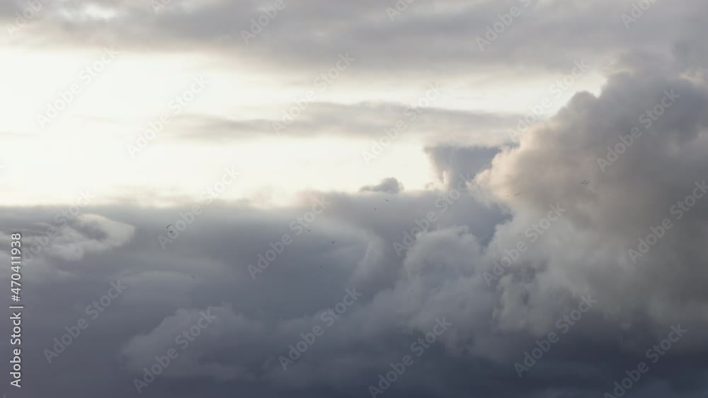 Slow motion birds flying in front of cloudscape with sunset light Slow motion birds flying in front of cloudscape with sunset light