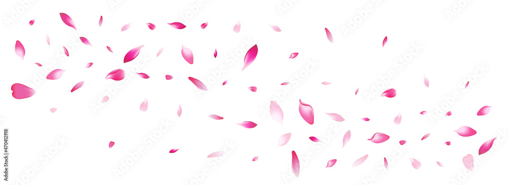 Color Apple Petal Vector White Background.