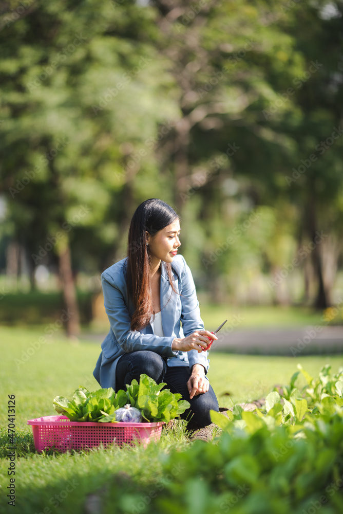 business manager woman person in job of agriculture plant harvest farm technology business manager woman person in job of agriculture plant harvest farm technology
