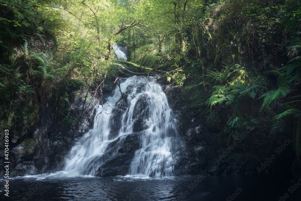 Fototapeta premium Waterfall in a Rainforest in Galicia, Spain