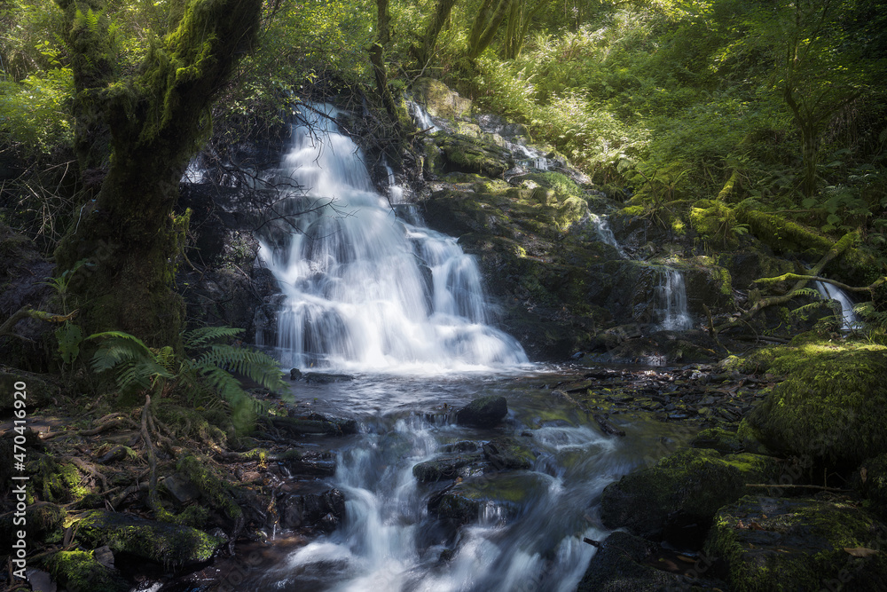 Waterfall in a Rainforest in Galicia, Spain