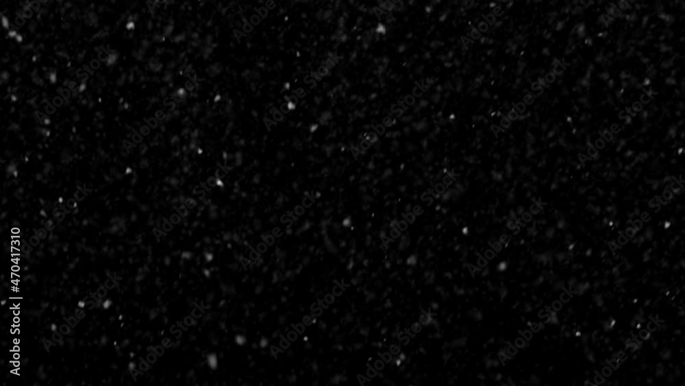 Natural snow falling isolated on black. Particles swirling moved by wind. Snow is moving through space