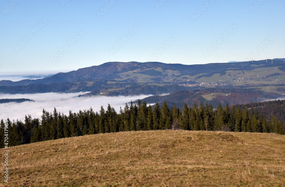 Blick vom Hinterwaldkopf auf den Nebel