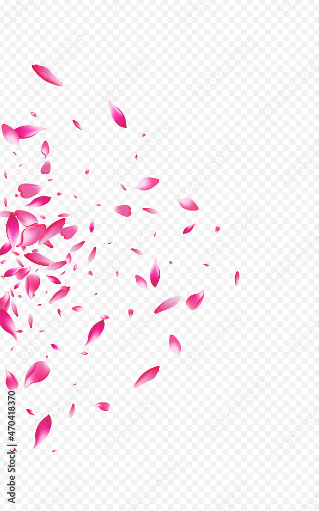 Delicate Sakura Falling Vector Transparent