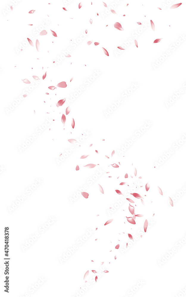 Pink Cherry Beauty Vector White Background. Fall