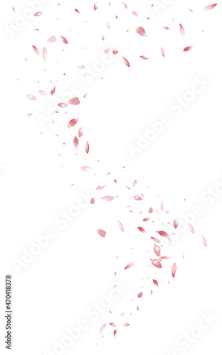 Pink Cherry Beauty Vector White Background. Fall