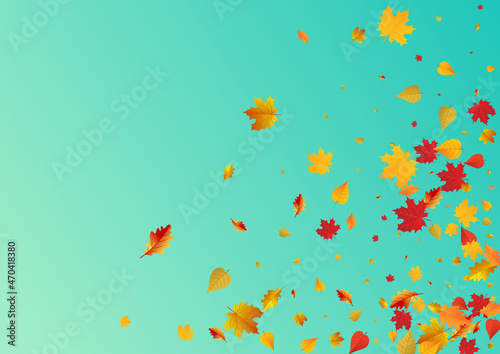 Yellow Floral Vector Blue Background. November