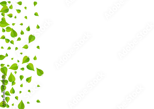 Olive Greens Organic Vector White Background
