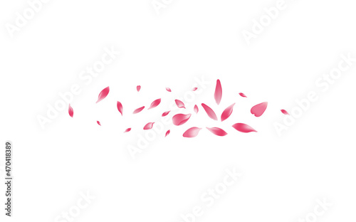 White Cherry Petal Vector White Background.