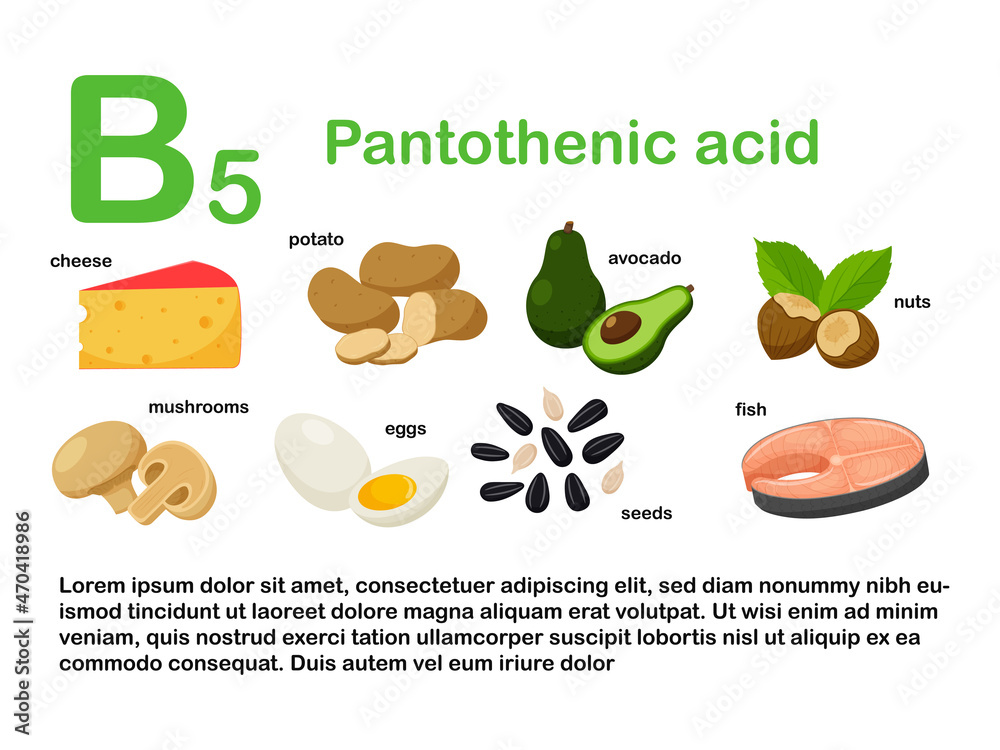 Rectangular poster with food products containing vitamin B5. Pantothenic acid. Medicine, diet, healthy eating, infographics. Products with the name.Flat cartoon food illustration isolated on white.