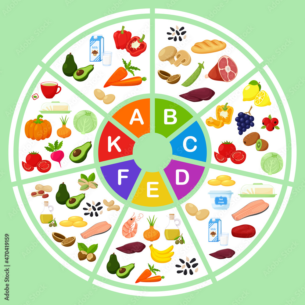 a-pie-chart-with-the-main-vitamins-and-the-foods-containing-them-flat-cartoon-illustrations