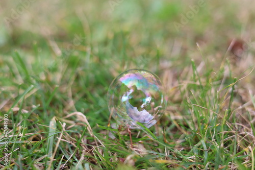 Soap bubble in green grass