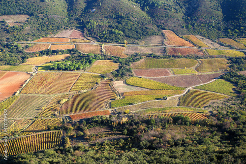 Panoramic view from the Vissou peak over the vineyards of the village of Cabrières in autumn (Hérault, Occitanie, France) photo