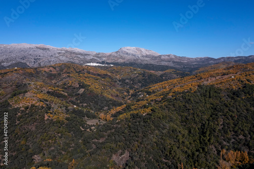 Llegada del otoño a los castaños del valle del Genal en la provincia de Málaga, Andalucía