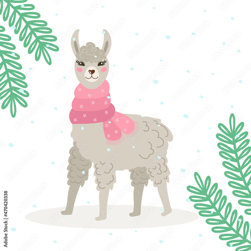Fototapeta premium Christmas card with a cute gray llama or alpaca in winter, in a warm scarf. Decorated with spruce branches. Vector cozy illustration.