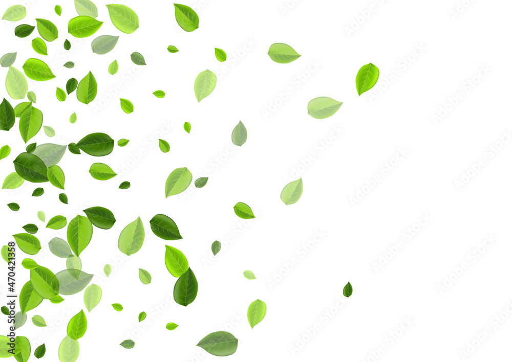 Swamp Leaves Falling Vector Background. Organic Swamp Leaves Falling Vector Background. Organic