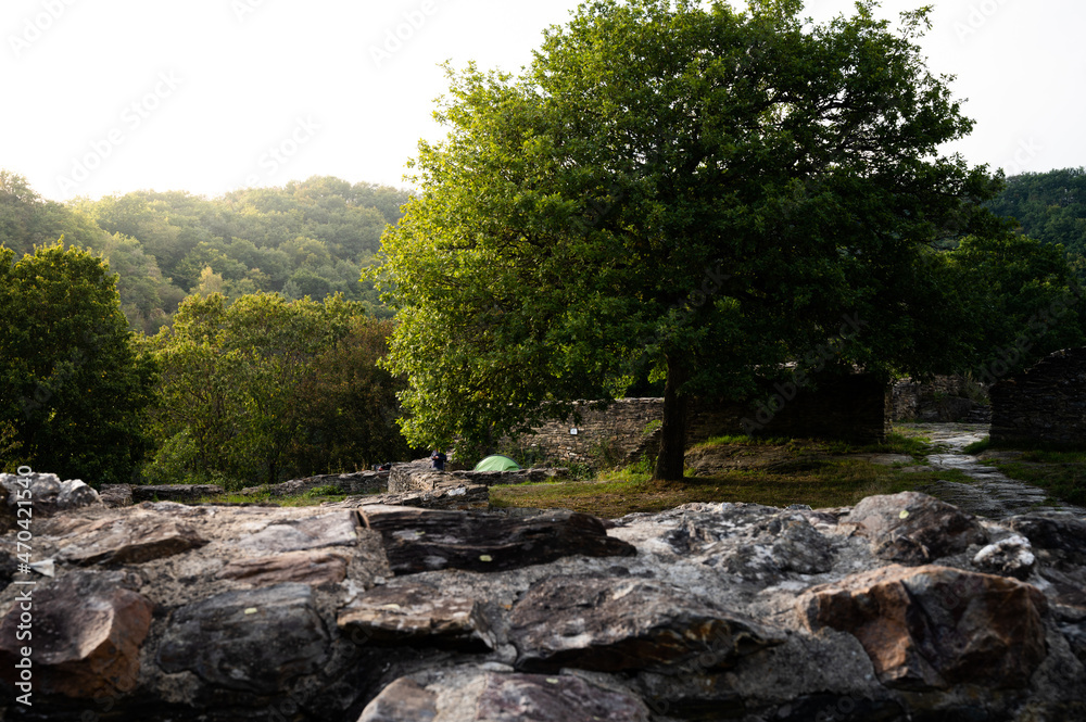 Ein grünes Trekking Zelt steht in einer Burgruine mit einem großen Baum in der Abendsonne Ein grünes Trekking Zelt steht in einer Burgruine mit einem großen Baum in der Abendsonne
