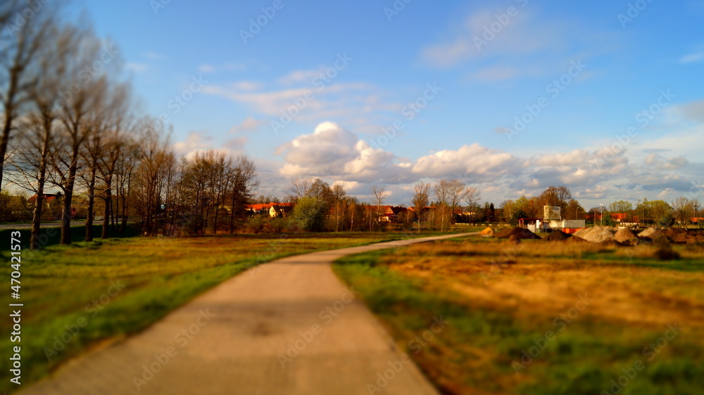 Fototapeta premium road in the autumn