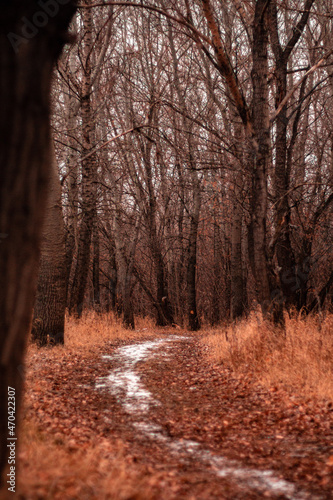 nature of steppes and rivers late autumn