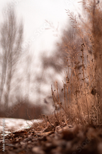 nature of steppes and rivers late autumn