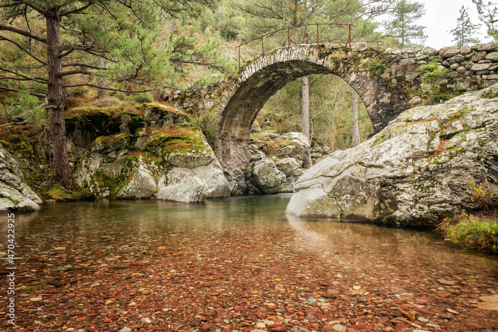 Ancient Genoese bridge over the clear waters of La Tartagine river in the Balagne region of Corsica Ancient Genoese bridge over the clear waters of La Tartagine river in the Balagne region of Corsica