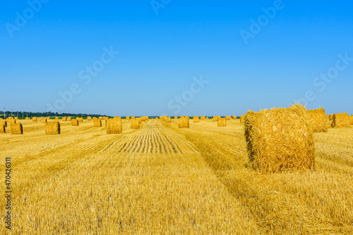 Rolled bales of straw at the agricultural field. Agricultural concept