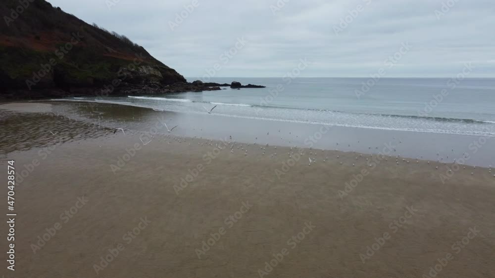 Porthluney beach near caerhays Cornwall England uk Porthluney beach near caerhays Cornwall England uk