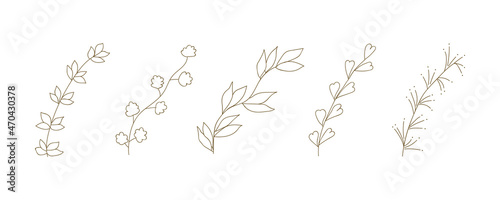 Plant doodle vector illustration. Leaf and flower line art. Floral branch sketch. Nature hand drawn icon. Outline leaves set