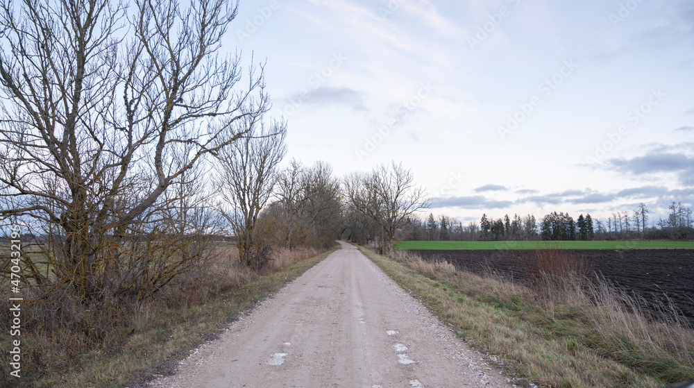 Fototapeta premium road in the countryside