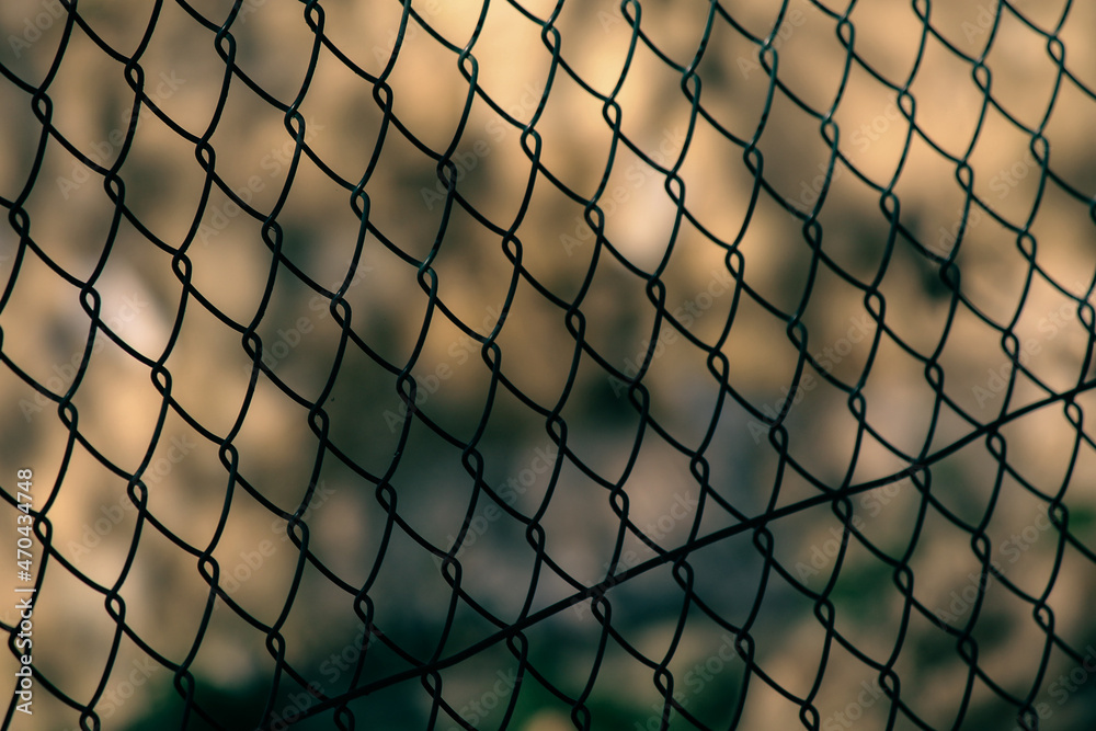 Fototapeta premium fence